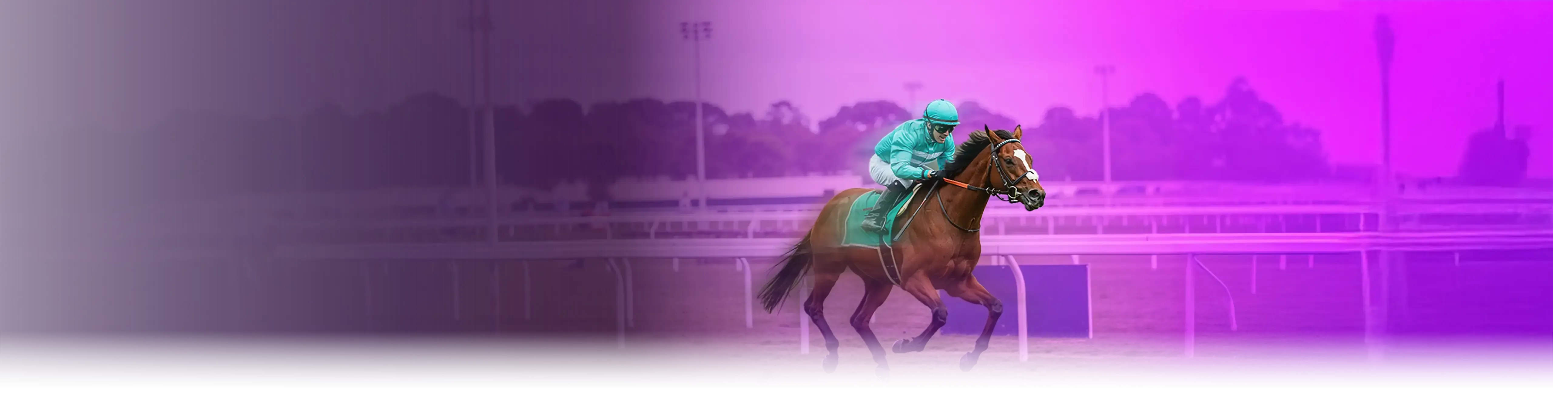 Cashback Racebook betting option
